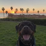 Oceanside Dental