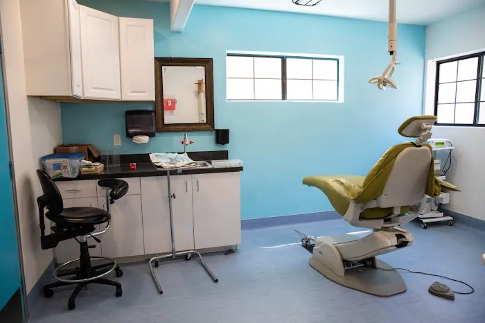 Dreamtime Dentistry Picture 8