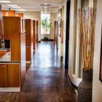 The Dentistry Collective ico