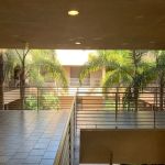 Encinitas Dental Group: Dr John C. Davis
