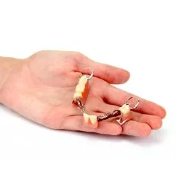 Hekmat Dental Care Picture 3