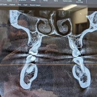 Rancho Penasquitos Dentistry ico