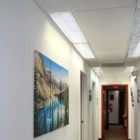 Da Vinci Dental ico