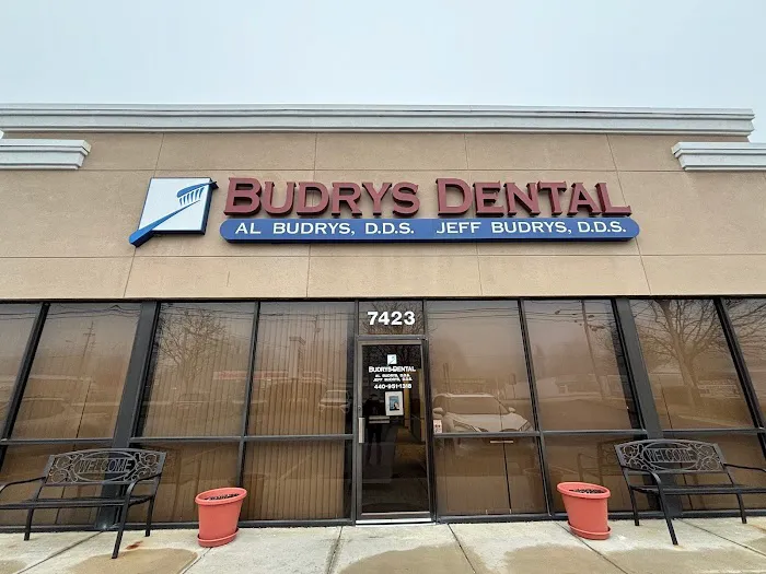 Budrys Dental Picture 3