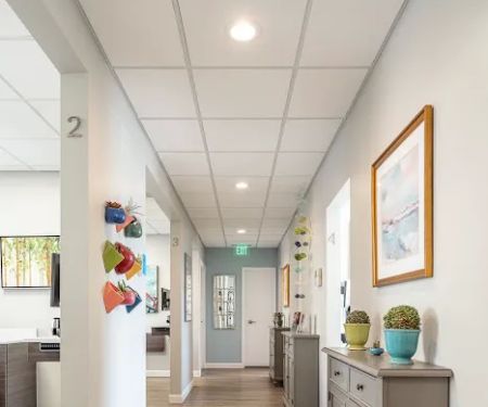 Anchor Dental - Dr. Esra S. Yener, DDS, PhD and Dr. Julia Hallisy, DDS