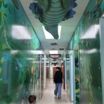 Mentor Pediatric Dentistry