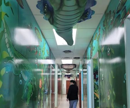 Mentor Pediatric Dentistry