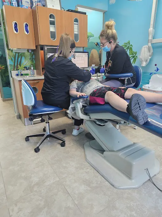 Mentor Pediatric Dentistry 6
