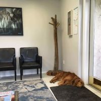 Summit Dental Group ico