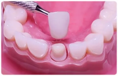 Dedicated Dentistry Picture 6