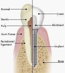 Excel Dental Care Picture 3