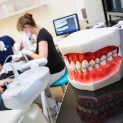 How to Pick a Dentist Based on Their Practice Philosophy
